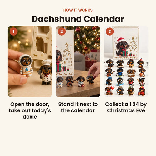 Advent calendar with 24 dachshund figurines